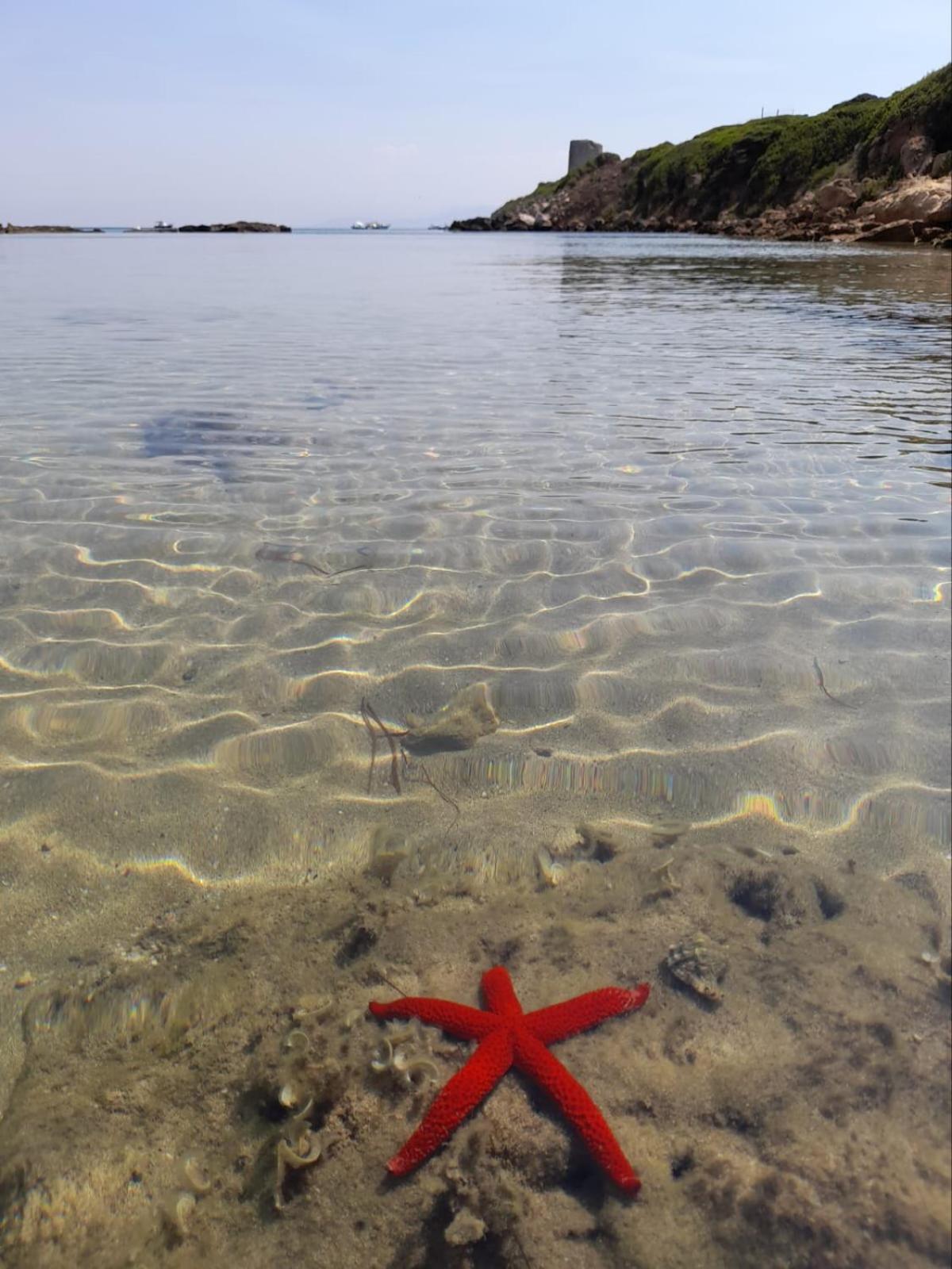 Carpe Diem Oristano Buitenkant foto