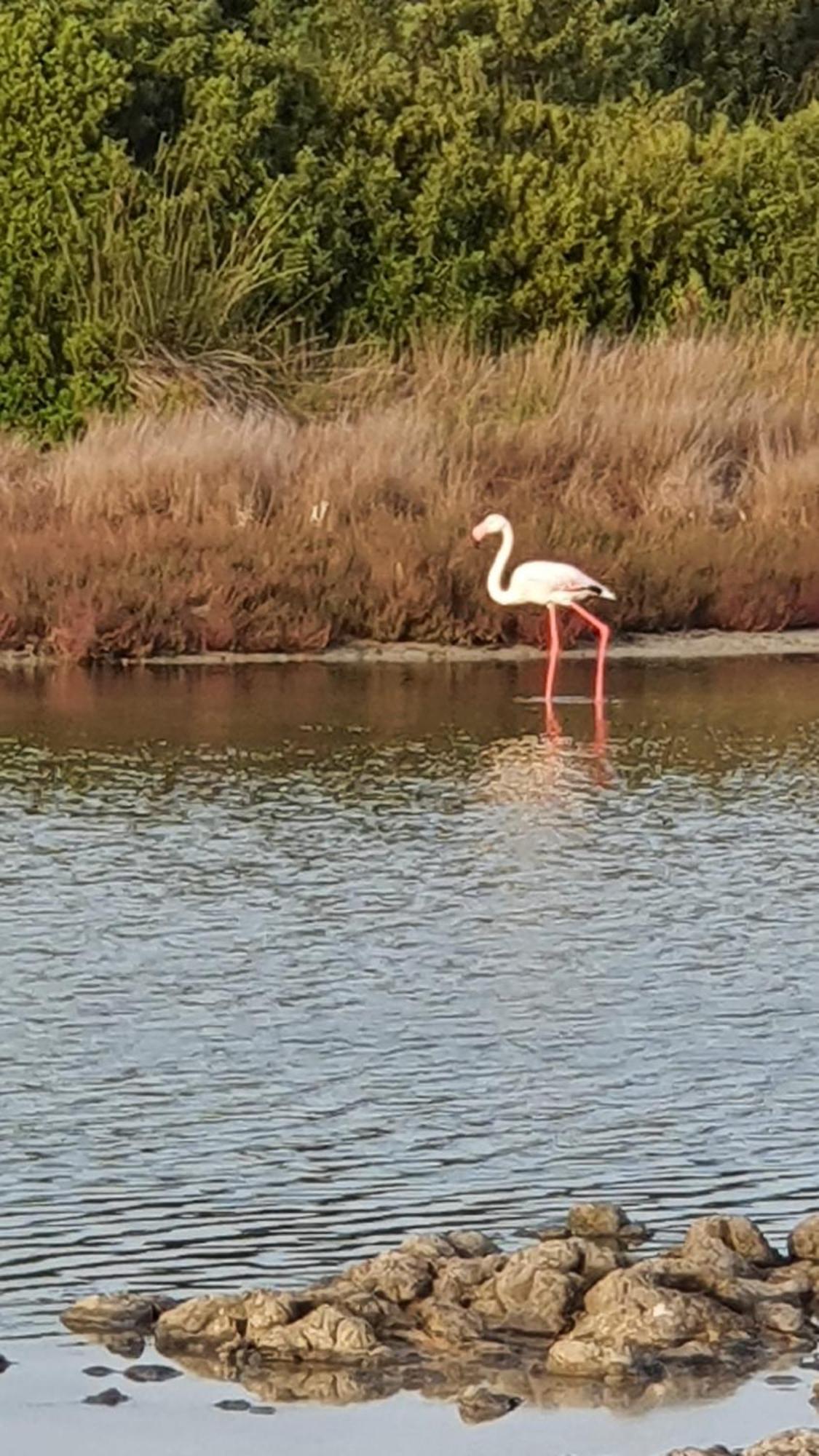 Carpe Diem Oristano Buitenkant foto